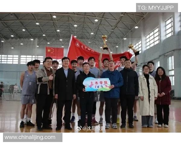 在篮球场上挥洒汗水与激情的青春故事
